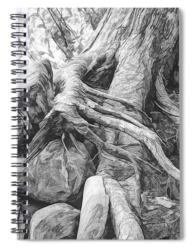 Tree Spiral Notebook featuring the digital art Roots and Rocks 1 by Nancy De Flon