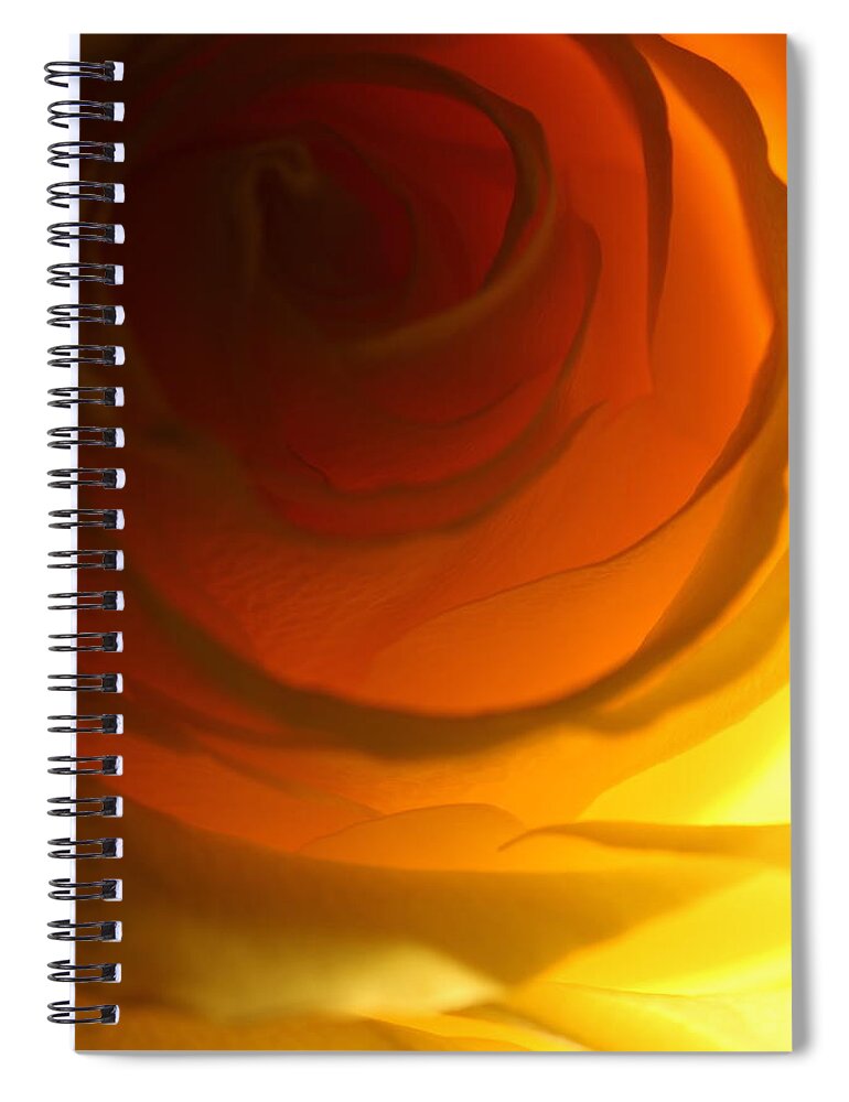 Macro Spiral Notebook featuring the photograph Rose 2321 by Julie Powell