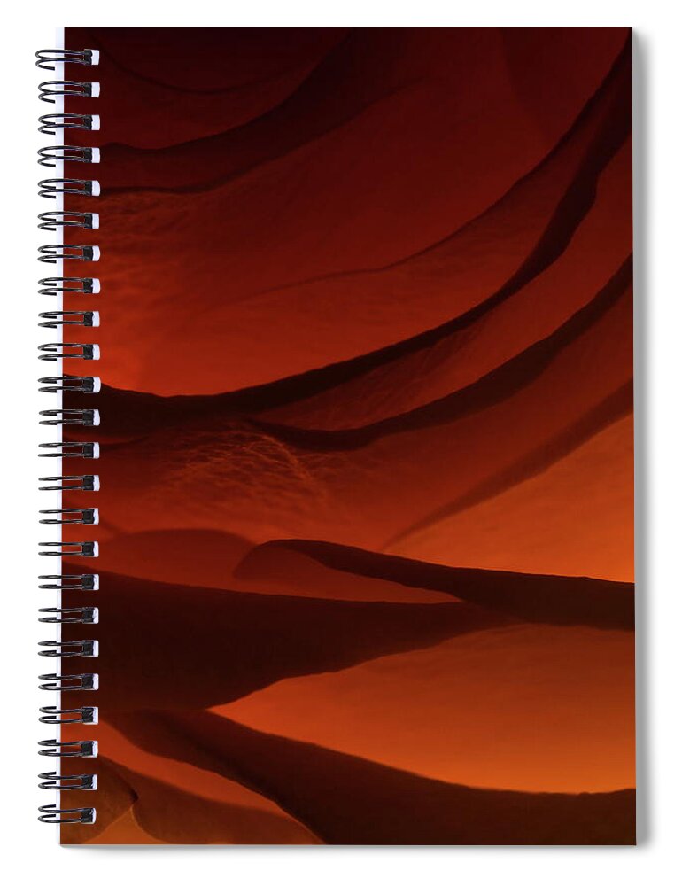 Macro Spiral Notebook featuring the photograph Rose 2342 by Julie Powell