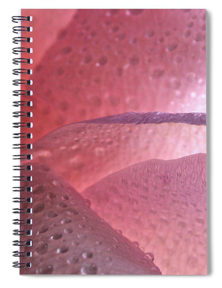 Macro Spiral Notebook featuring the photograph Rose 4069 by Julie Powell