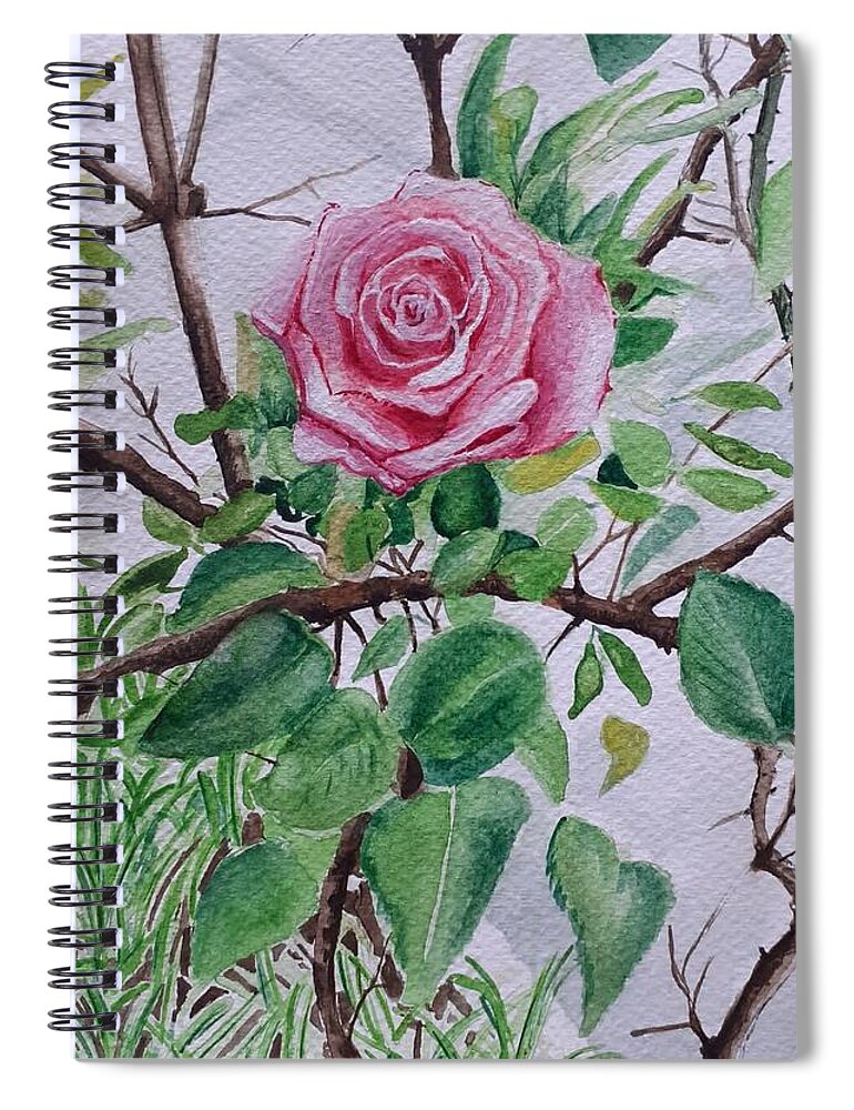 Rose Spiral Notebook featuring the painting Rose bush by Carolina Prieto Moreno