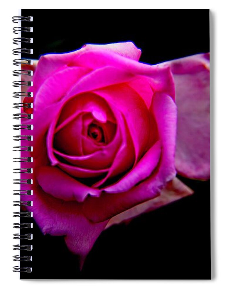 Rose Spiral Notebook featuring the photograph Rose Eye by Allen Nice-Webb