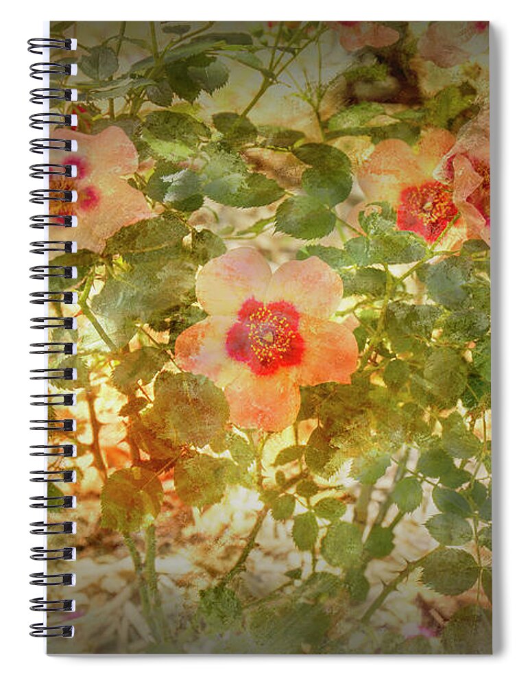 Roses Spiral Notebook featuring the photograph Rose Garden 1 by Elaine Teague