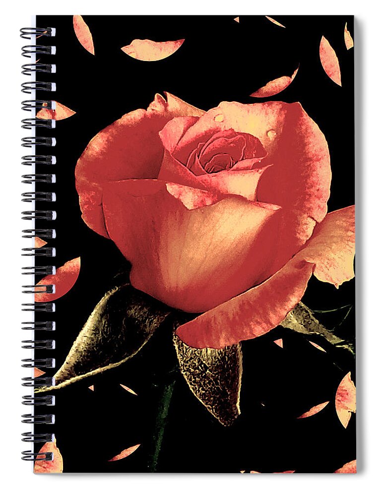 Rose Spiral Notebook featuring the photograph Rose Petals by Dani McEvoy