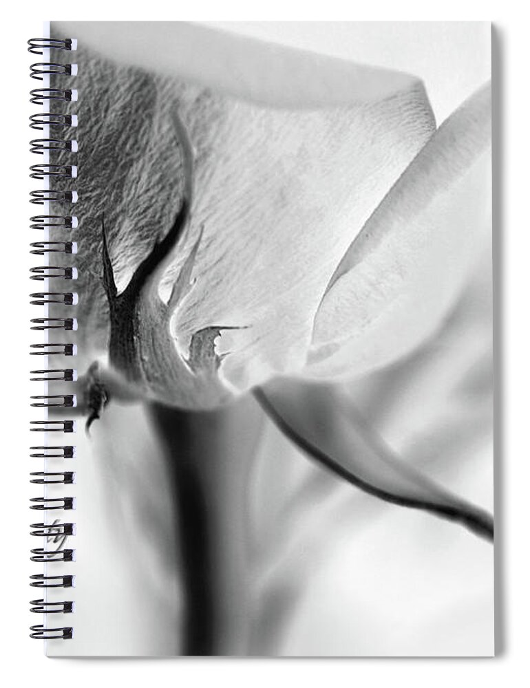Rose Sepal Bw Spiral Notebook featuring the photograph Rose Sepal BW by Natalie Dowty