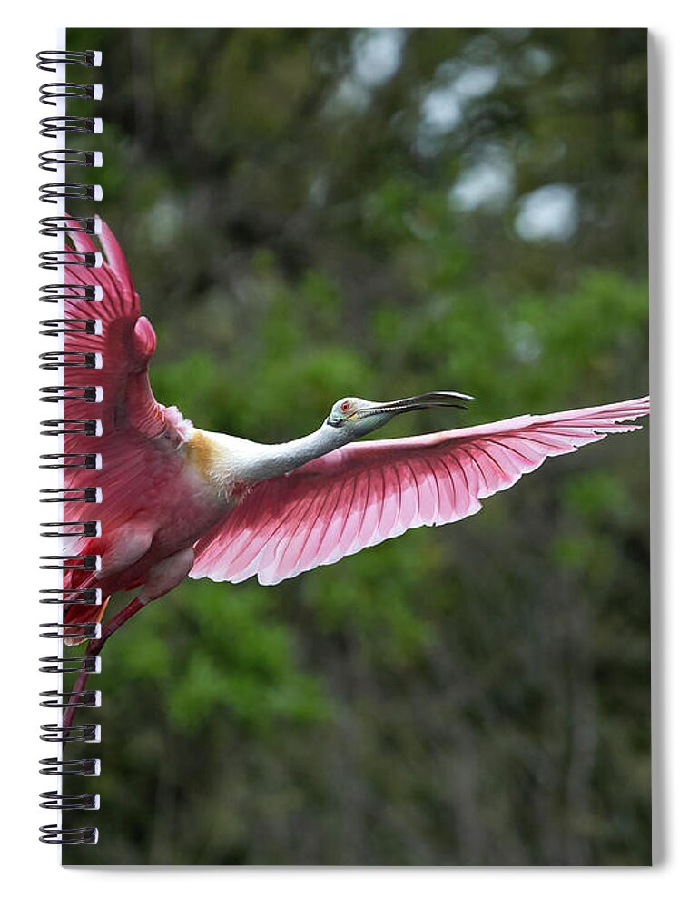  Spiral Notebook featuring the photograph Roseate Flight by Jim Miller