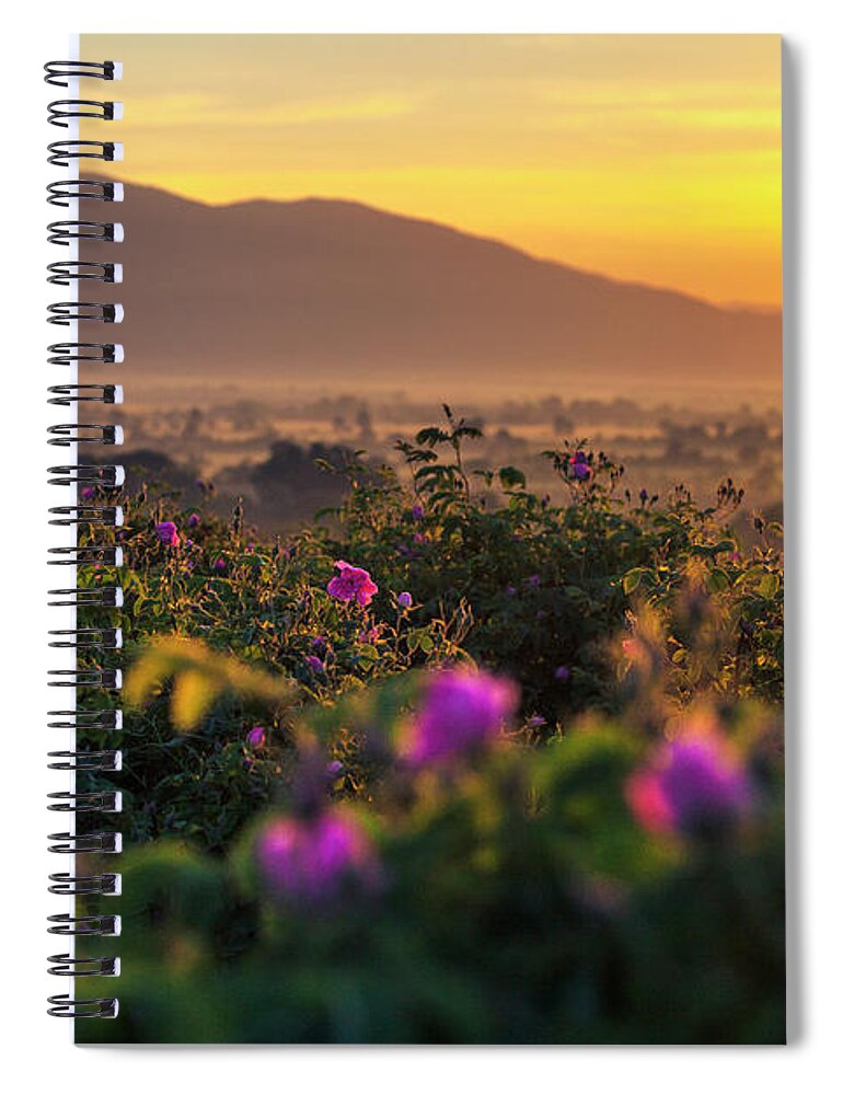 Bulgaria Spiral Notebook featuring the photograph Roses Valley by Evgeni Dinev