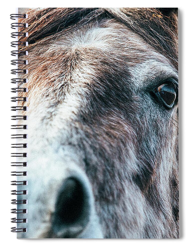 Horse Spiral Notebook featuring the photograph Ruairi - Horse Art by Lisa Saint