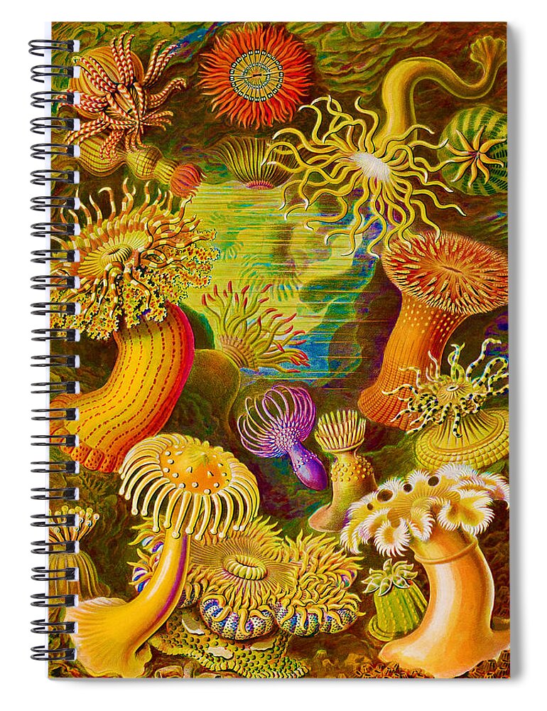 Art Spiral Notebook featuring the painting Rubino Rise Under Water Actiniae by Tony Rubino