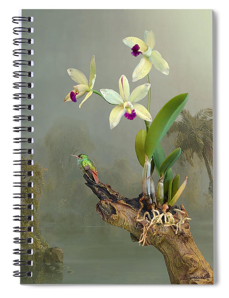 Hummingbird Spiral Notebook featuring the digital art Rufous-tailed Hummingbird and Orchid by M Spadecaller