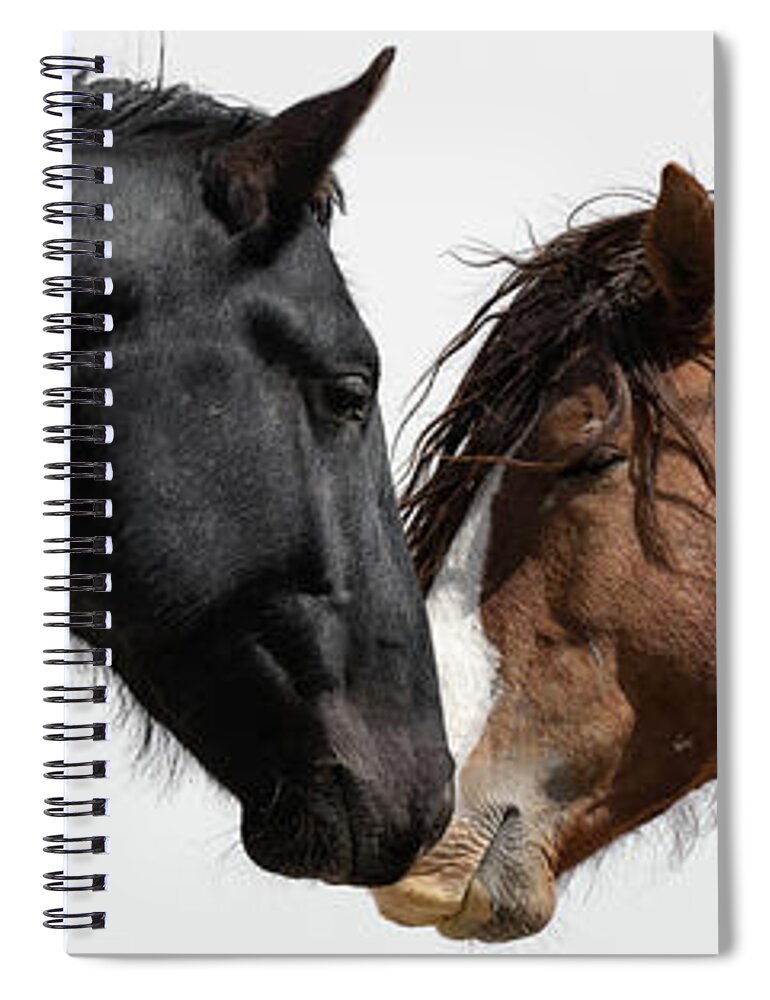 Panorama Spiral Notebook featuring the photograph Rugged and Wild by Mary Hone