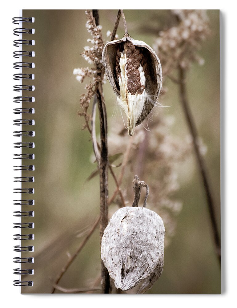 Rugged Autumn Spiral Notebook featuring the photograph Rugged Autumn by Christi Kraft