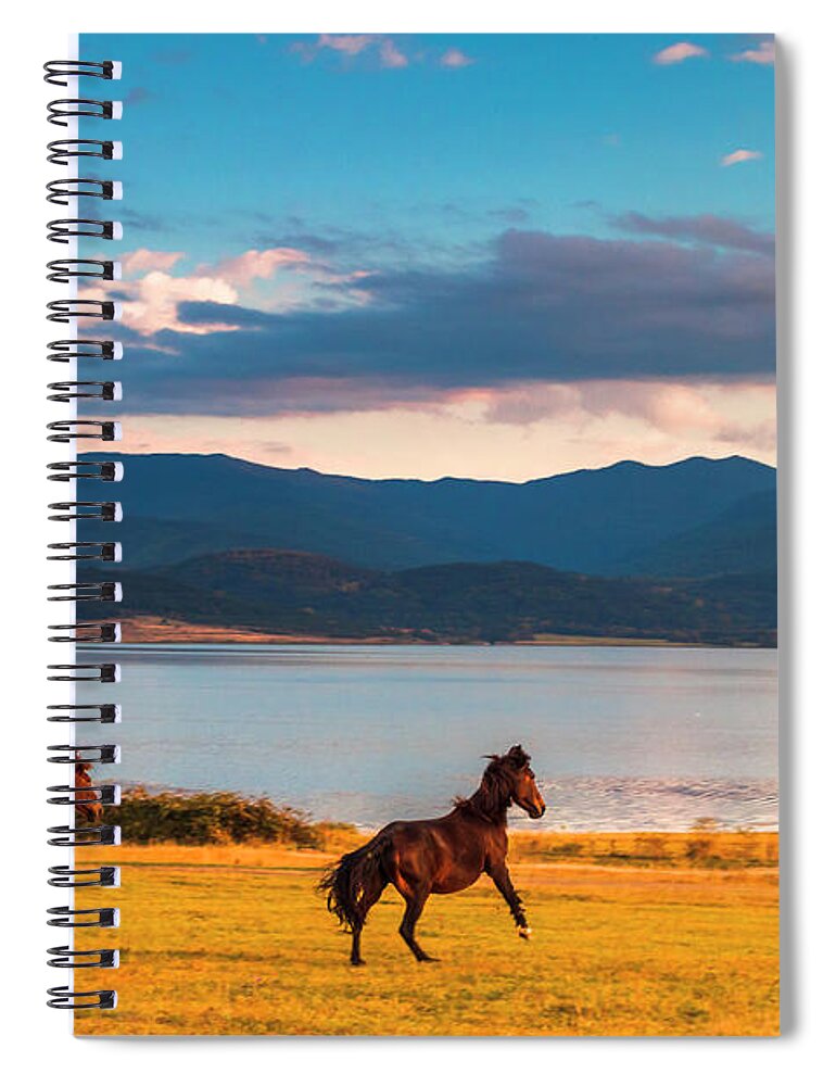 Animal Spiral Notebook featuring the photograph Running Horses by Evgeni Dinev