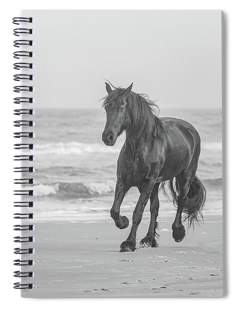 Equine Spiral Notebook featuring the photograph Horse Running on the Beach Photograph by JBK Photo Art