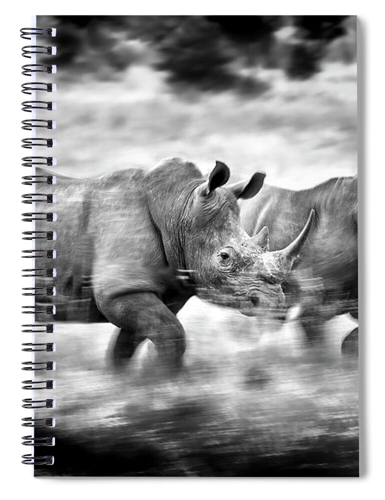 White Spiral Notebook featuring the photograph Running Rhinos, South Africa by Stu Porter
