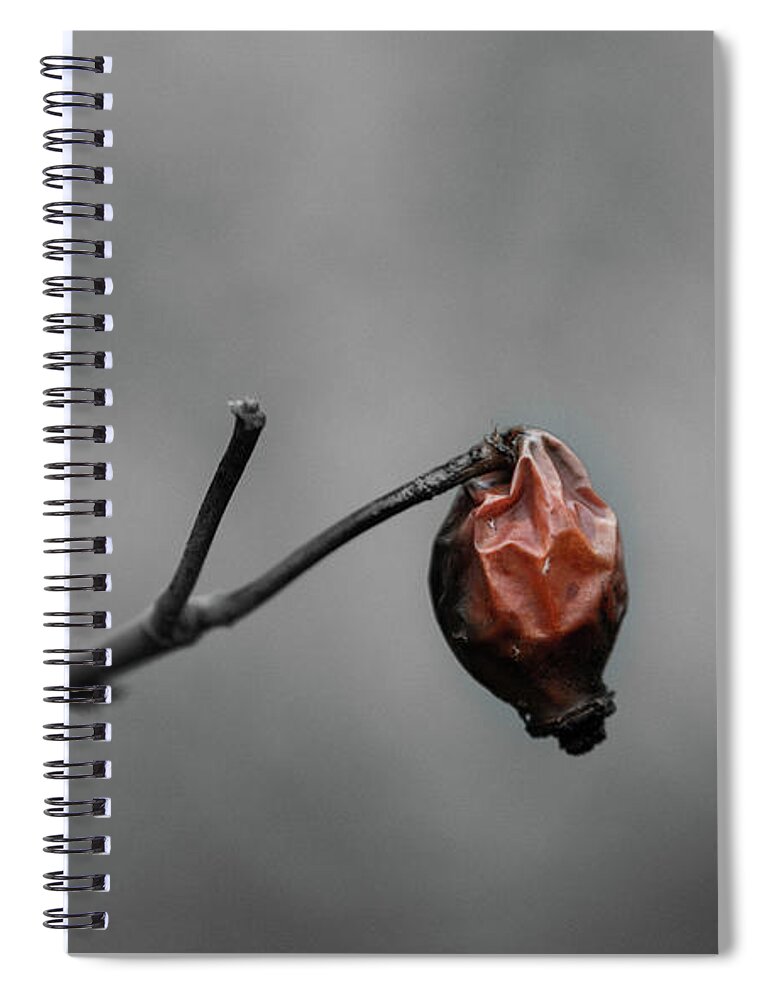 Rose Spiral Notebook featuring the photograph Sad Rosehip by Martin Vorel Minimalist Photography