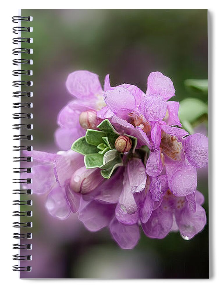 Texas Sage Spiral Notebook featuring the photograph Sage in Bloom by Cheri Freeman