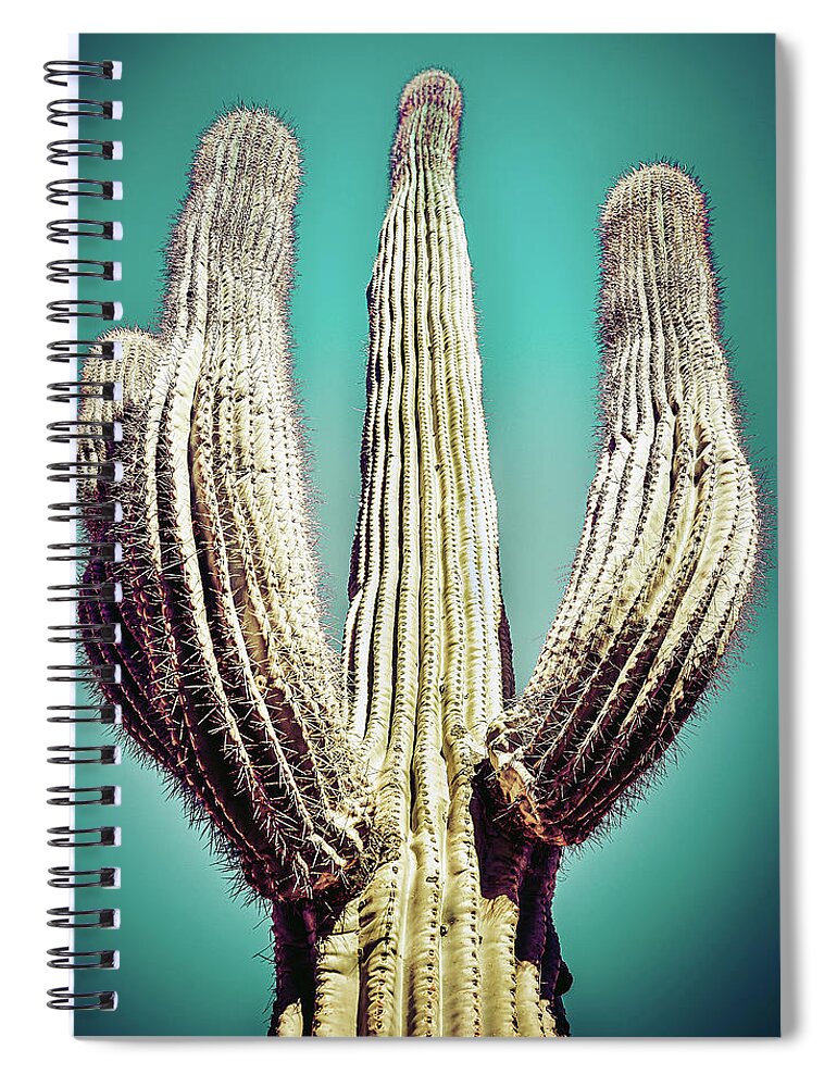 Atmospheric Spiral Notebook featuring the photograph Saguaro #4 by Jennifer Wright