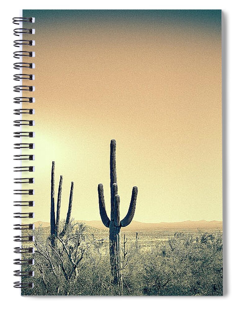 Saguaro Cacti Spiral Notebook featuring the photograph Saguaro Landscape Split Tone by Jennifer Wright