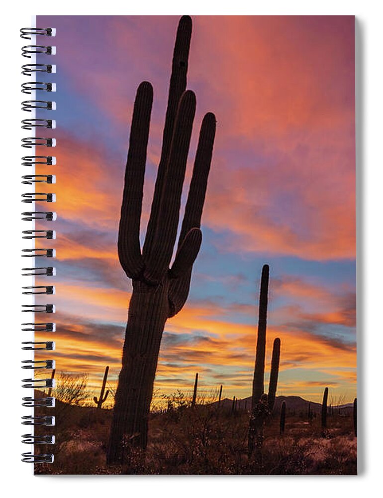 Landscape Spiral Notebook featuring the photograph Saguaro Sunrise by Seth Betterly