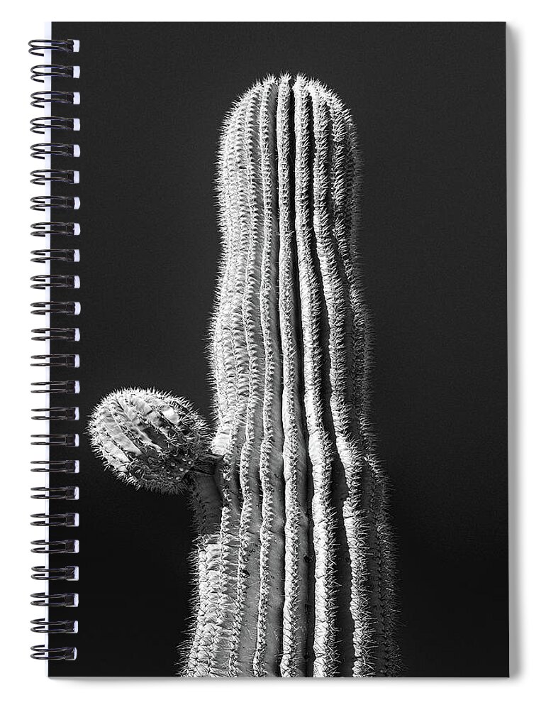 Atmospheric Spiral Notebook featuring the photograph Saguaro with Starter Arm #2 by Jennifer Wright
