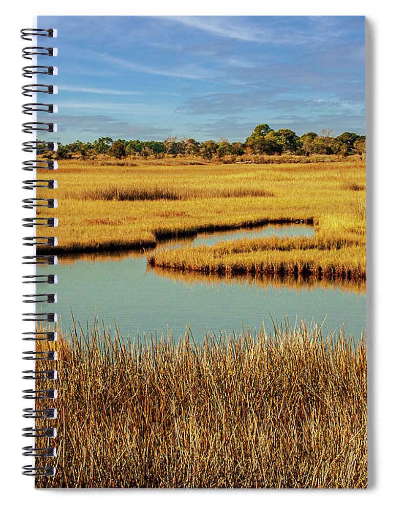 Camera Spiral Notebook featuring the photograph Salt Marsh Photograph by Louis Dallara