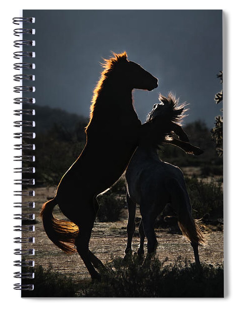 Horse Spiral Notebook featuring the photograph Salt River Early Morning Tango by Lisa Manifold