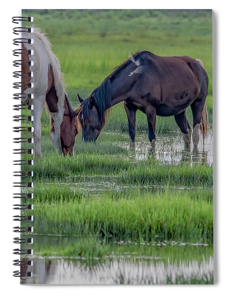 Chincoteague Island Spiral Notebook featuring the photograph Saltwater Ponies of Chincoteague Island by Marcy Wielfaert