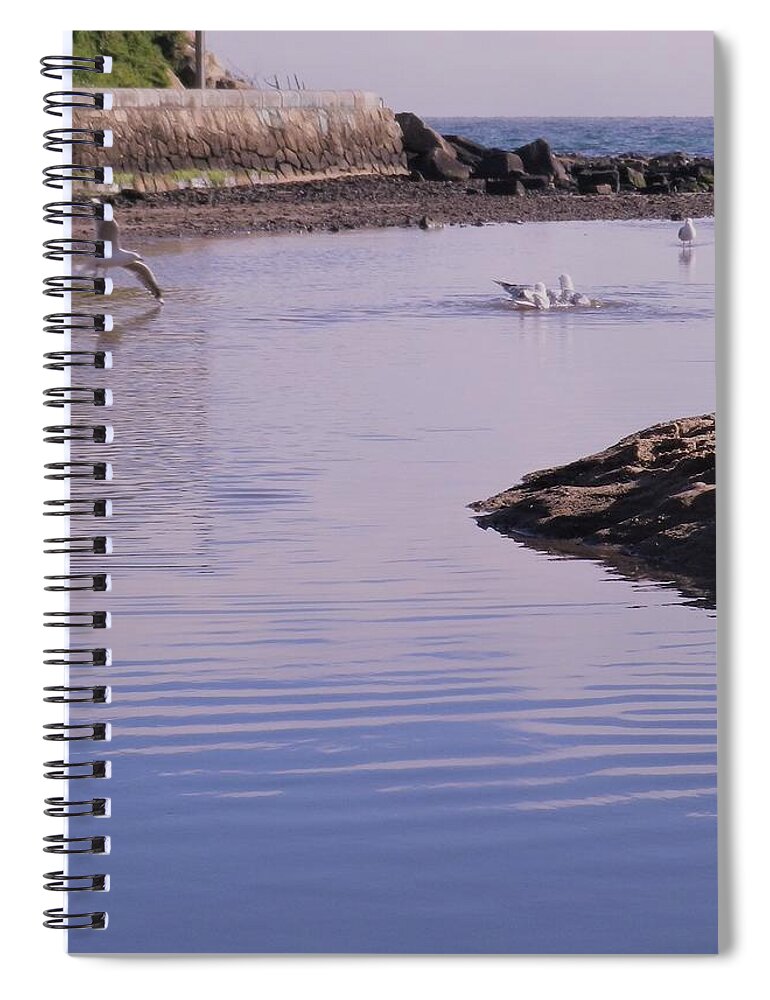 Seabird Spiral Notebook featuring the photograph Sam the Seagull Playtime by Julie Grimshaw