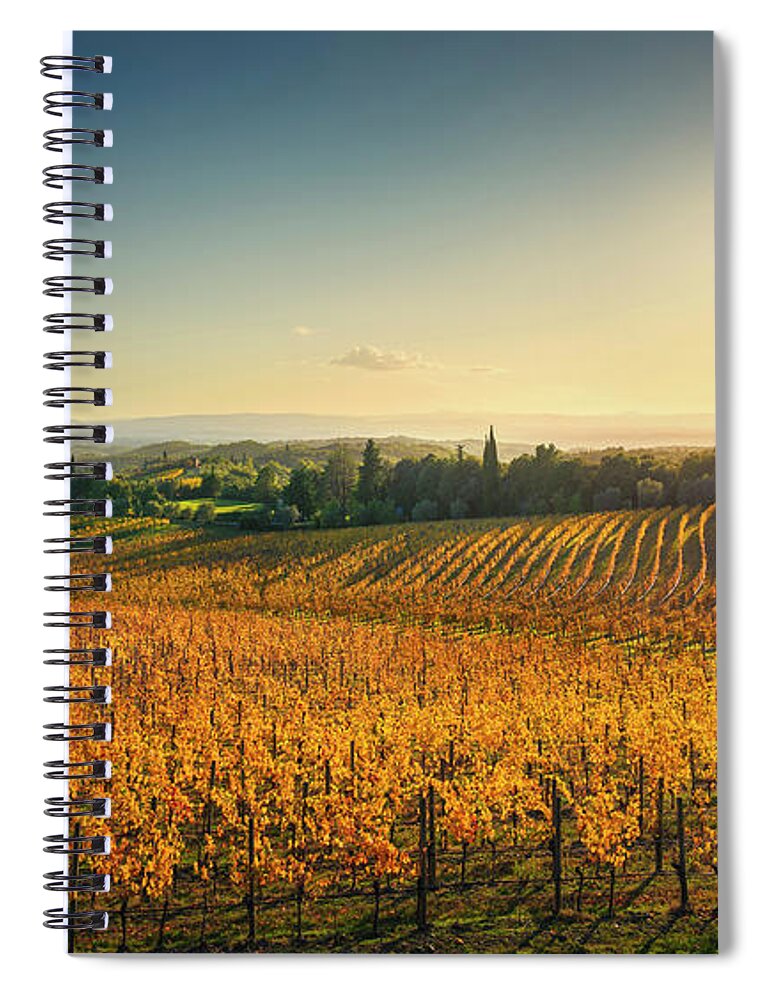 Chianti Spiral Notebook featuring the photograph San Gusme, Chianti vineyards at sunset. Tuscany by Stefano Orazzini
