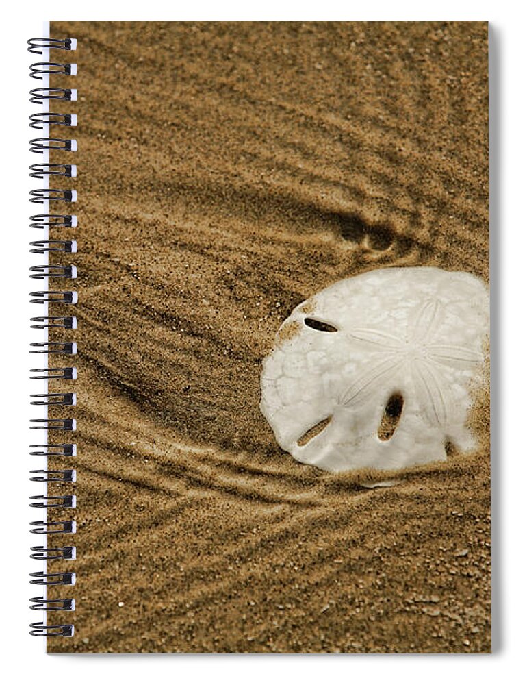 Sand Dollar Spiral Notebook featuring the digital art Sand Dollar in the Surf by Brad Barton