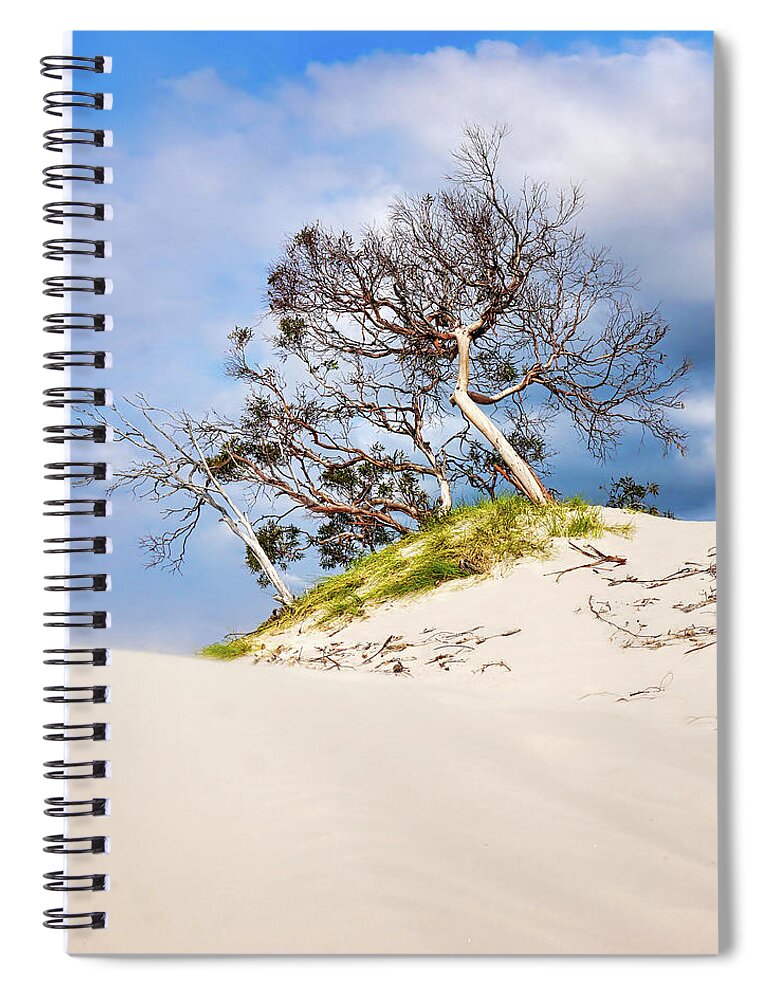 Beach Spiral Notebook featuring the photograph Sand Dunes with Bent Trees 2 by Lexa Harpell