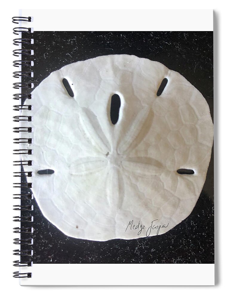 Sand Dollar Spiral Notebook featuring the photograph Sand Dollar by Medge Jaspan