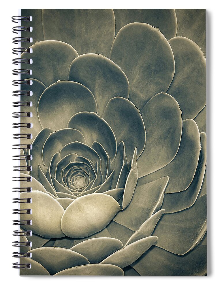 Environmental Spiral Notebook featuring the photograph Santa Barbara Succulent #1 by Jennifer Wright