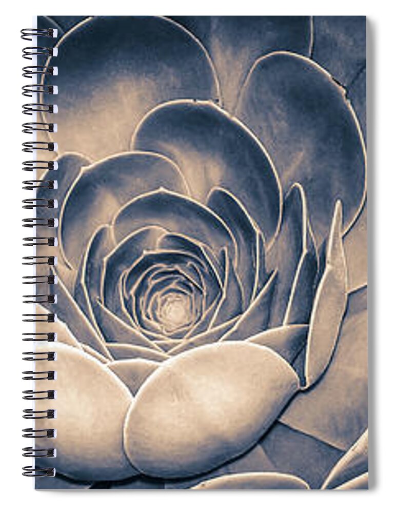 Environmental Spiral Notebook featuring the photograph Santa Barbara Succulent #8 by Jennifer Wright