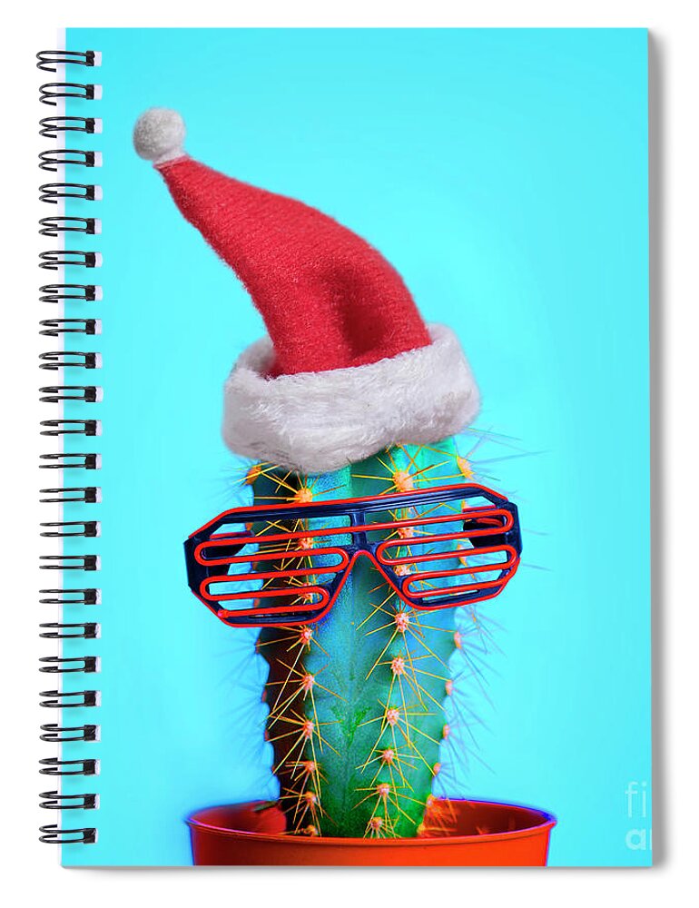 Cactus Spiral Notebook featuring the photograph Santa cactus. Funky pop art minimal christmas in summer concept. by Jelena Jovanovic