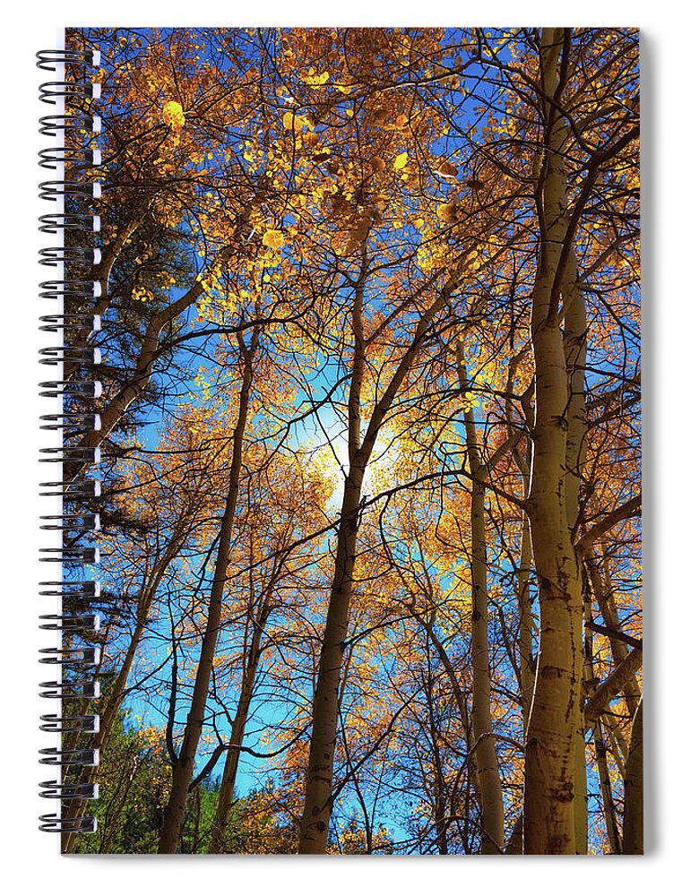 Santa Fe Spiral Notebook featuring the photograph Santa Fe Beauty II by Stephen Anderson
