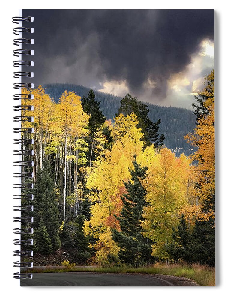 Golden Aspens Spiral Notebook featuring the photograph Santa Fe Gold Autumn by Rebecca Herranen