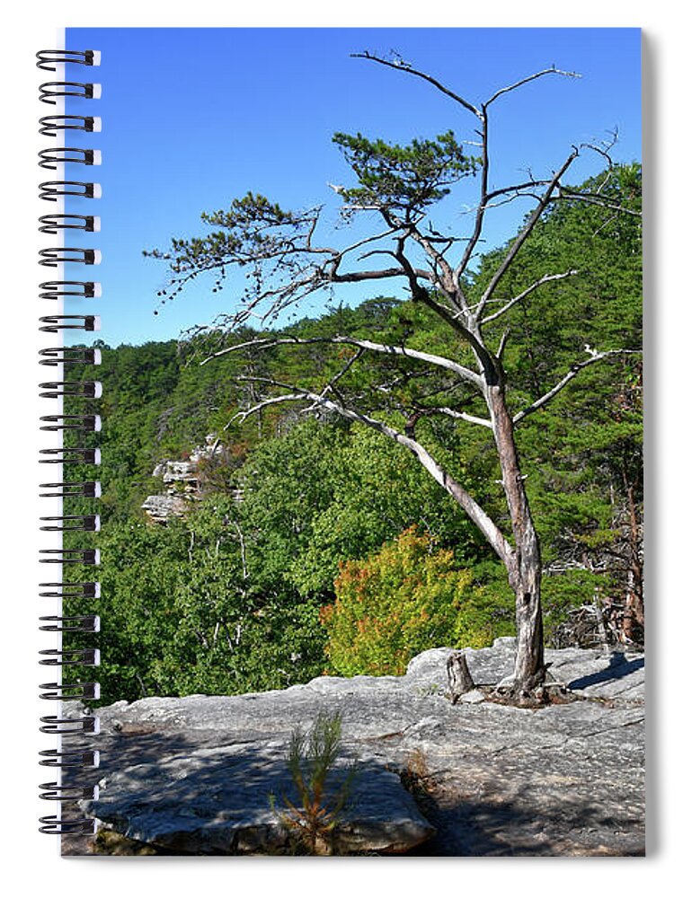 Savage Gulf Spiral Notebook featuring the photograph Savage Gulf 16 by Phil Perkins