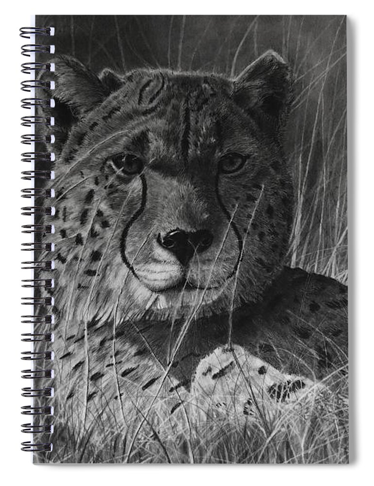 Cheetah Spiral Notebook featuring the drawing Savannah by Greg Fox
