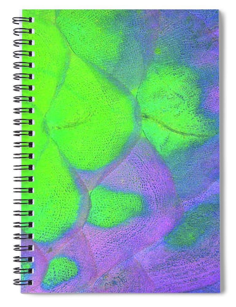 Parrotfish Spiral Notebook featuring the photograph Scales in green and purple by Artesub