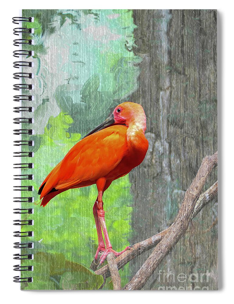 Scarlet Ibis Spiral Notebook featuring the photograph Scarlet Ibis by Bentley Davis