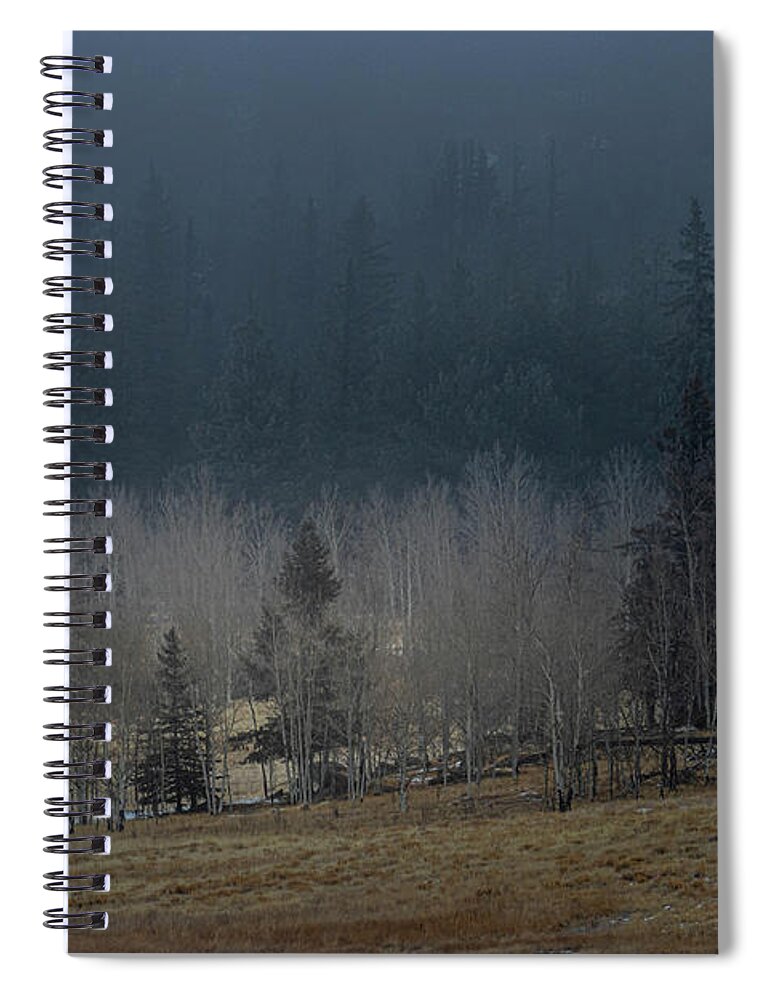 Eleven Mile Reservoir Spiral Notebook featuring the photograph Scenery in Eleven Mile State Park by Steven Krull