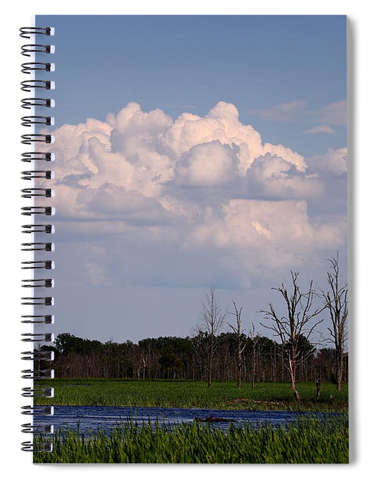 Iroquois Marshes Spiral Notebook featuring the photograph Scenes from the Wildlife Area by Tony Lee
