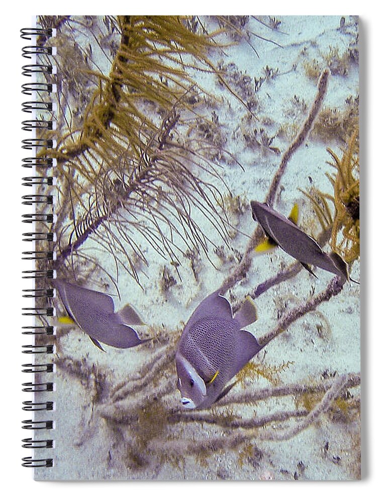 Animals Spiral Notebook featuring the photograph School Dance by Lynne Browne