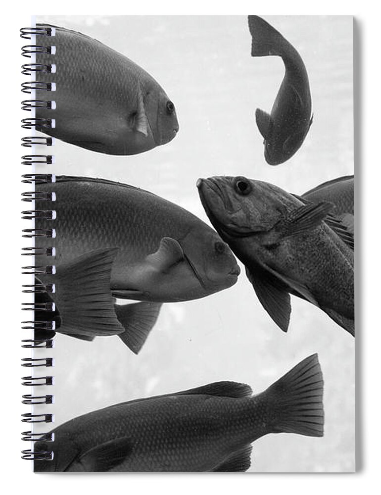 School Of Fish Spiral Notebook featuring the photograph Schools out by Gina Cinardo