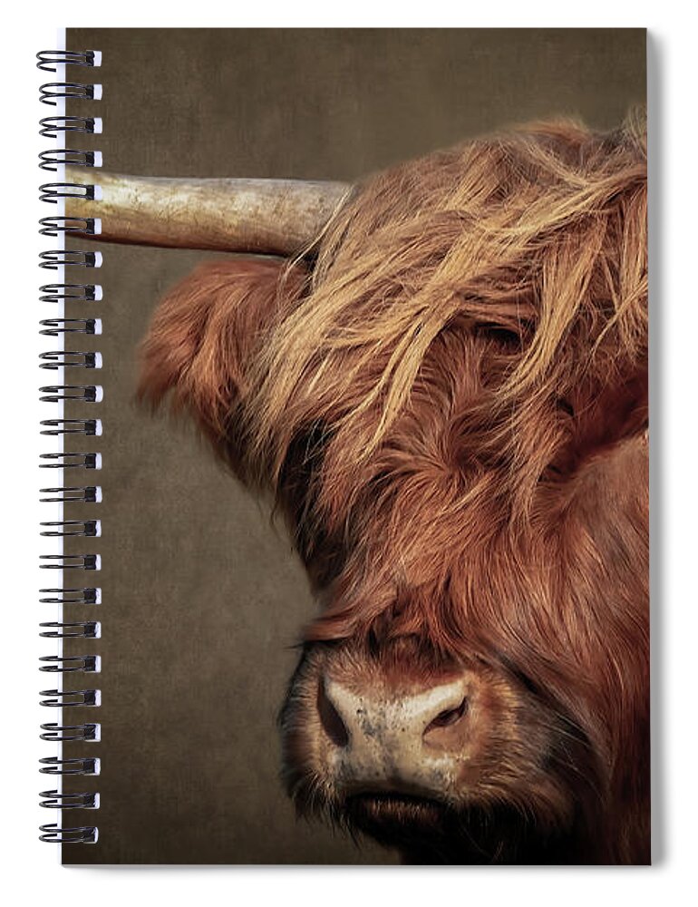 Scottish Highlander Spiral Notebook featuring the digital art Scottish Highlander Portrait by Marjolein Van Middelkoop