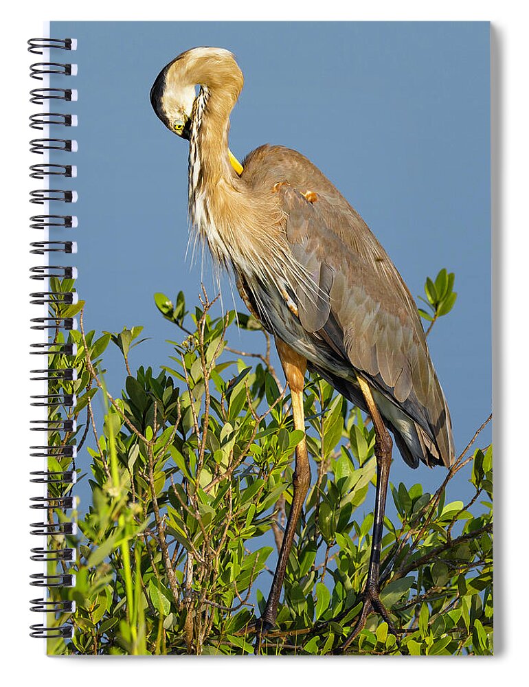 R5-2652 Spiral Notebook featuring the photograph Scratch that Itch by Gordon Elwell