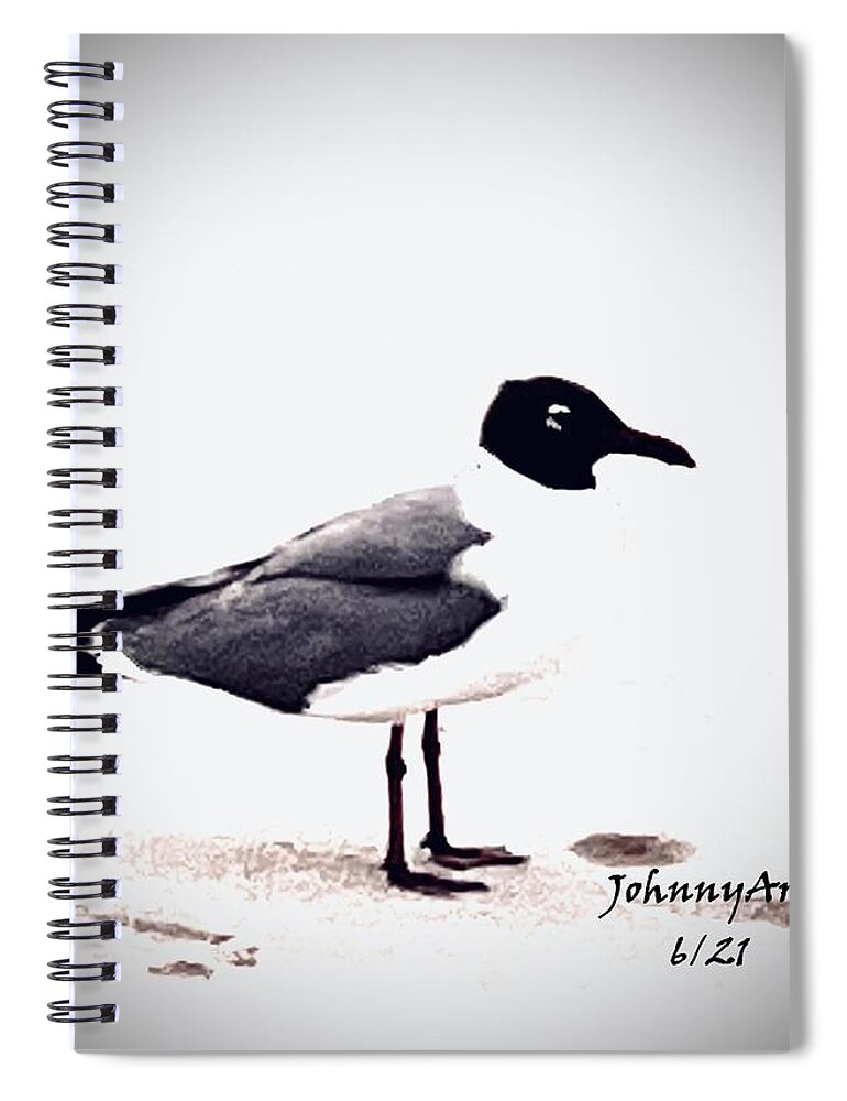 St Augustine Beach Florida Usa Spiral Notebook featuring the photograph Sea Birds by John Anderson