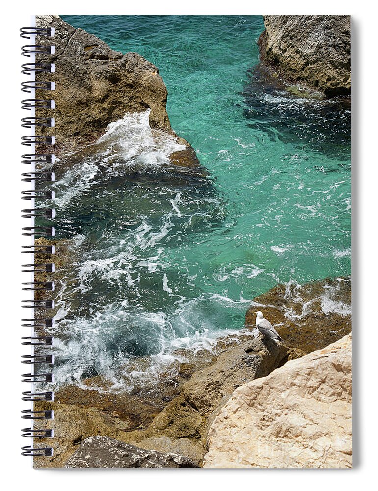Mediterranean Spiral Notebook featuring the photograph Seagull watches the cliffs and the Mediterranean Sea by Adriana Mueller